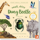 Small, Shiny Dung Beetle