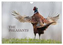 Emotional Moments: The pheasants. UK-Version (Wall Calendar 2024 DIN A4 landscape), CALVENDO 12 Month Wall Calendar