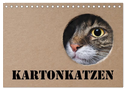 Karton Katzen (Tischkalender 2024 DIN A5 quer), CALVENDO Monatskalender
