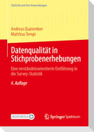 Datenqualität in Stichprobenerhebungen