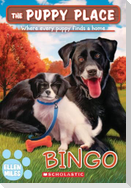 Bingo (the Puppy Place #65)