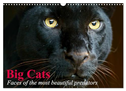 Big Cats ¿ Faces of the most beautiful predators (Wall Calendar 2025 DIN A3 landscape), CALVENDO 12 Month Wall Calendar