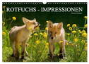 Rotfuchs - Impressionen (Wandkalender 2024 DIN A3 quer), CALVENDO Monatskalender