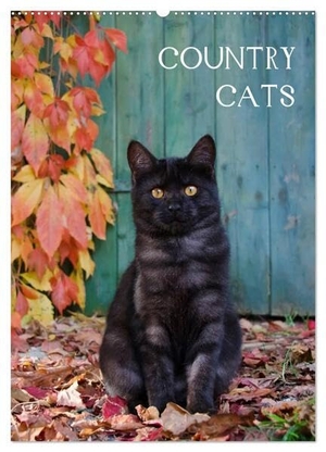 Menden, Katho. COUNTRY CATS (Wandkalender 2024 DIN A2 hoch), CALVENDO Monatskalender - Bezaubernde Katzen fotografiert auf dem Land und in Bauerngärten.. Calvendo, 2023.