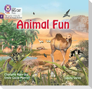 Animal Fun