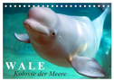 Wale - Kolosse der Meere (Tischkalender 2025 DIN A5 quer), CALVENDO Monatskalender