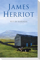 Vet in Harness