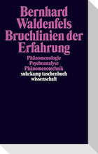 Bruchlinien der Erfahrung