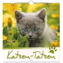 Katzen-Tatzen 2027
