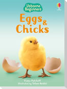 Eggs and Chicks
