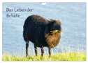 Das Leben der Schafe (Wandkalender 2024 DIN A4 quer), CALVENDO Monatskalender