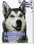 Siberian Husky