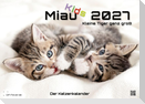 Miau Kids - kleine Tiger ganz groß - Der Katzenkalender - 2027 - Kalender DIN A2