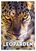 Leoparden - Die Beute im Visier. (Wandkalender 2024 DIN A2 hoch), CALVENDO Monatskalender