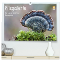 Pilzgalerie - Die bunte Welt der Baumpilze (hochwertiger Premium Wandkalender 2024 DIN A2 quer), Kunstdruck in Hochglanz