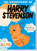 The Adventures of Harry Stevenson