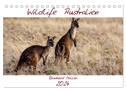 Wildlife Australien (Tischkalender 2024 DIN A5 quer), CALVENDO Monatskalender