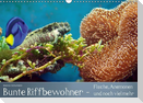 Bunte Riffbewohner - Fische, Anemonen und noch viel mehr (Wandkalender immerwährend DIN A3 quer)