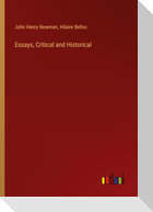 Essays, Critical and Historical