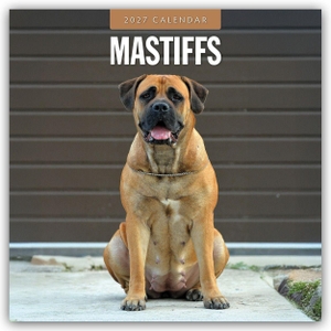 Red, Robin. Mastiffs - Mastiff 2027 - 16-Monatskalender - Original Red Robin Publishing Ltd-Kalender [Mehrsprachig] [Kalender]. Browntrout Verlags GmbH, 2026.