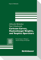 Carleson Curves, Muckenhoupt Weights, and Toeplitz Operators