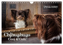 Chihuahuas - Cool & Cute / UK-Version (Wall Calendar 2025 DIN A4 landscape), CALVENDO 12 Month Wall Calendar