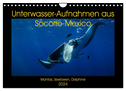 Unterwasser-Aufnahmen aus Socorro-Mexico (Wandkalender 2024 DIN A4 quer), CALVENDO Monatskalender