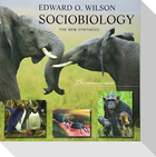 Sociobiology