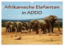 Afrikanische Elefanten in ADDO (Wandkalender 2025 DIN A3 quer), CALVENDO Monatskalender