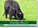 Zottelige Riesen - Schottische Hochlandrinder (Wandkalender 2022 DIN A3 quer)