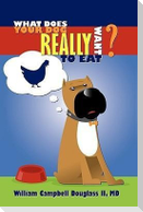 What Does Your Dog Really Want to Eat?