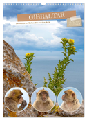 Gibraltar - Die Heimat der Berberaffen auf dem Rock (Wandkalender 2025 DIN A3 hoch), CALVENDO Monatskalender
