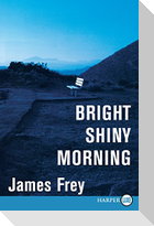 Bright Shiny Morning LP