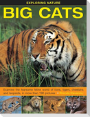 Exploring Nature: Big Cats