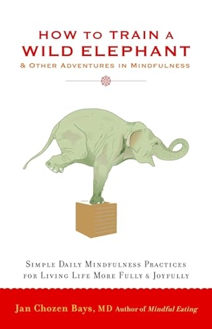 Bays, Jan Chozen. How to Train a Wild Elephant - And Other Adventures in Mindfulness. Shambhala Publications Inc, 2011.
