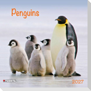 Penguins 2027