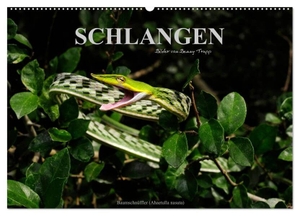 Trapp, Benny. Schlangen (Wandkalender 2024 DIN A2 quer), CALVENDO Monatskalender - Fotokalender mit Motiven von Schlangen aus aller Welt. Calvendo, 2023.