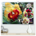 Prächtige Orchideen (hochwertiger Premium Wandkalender 2025 DIN A2 quer), Kunstdruck in Hochglanz