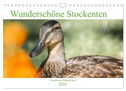 Wunderschöne Stockenten - Europäische Wasservögel (Wandkalender 2024 DIN A4 quer), CALVENDO Monatskalender