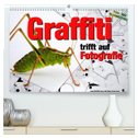 Graffiti trifft auf Fotografie (hochwertiger Premium Wandkalender 2024 DIN A2 quer), Kunstdruck in Hochglanz