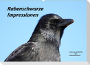 Rabenschwarze Impressionen - meike-ajo-dettlaff.de via  wildvogelhlfe.org (Wandkalender 2022 DIN A2 quer)