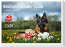 Deutsche Schäferhunde Seelentröster (Wandkalender 2025 DIN A3 quer), CALVENDO Monatskalender