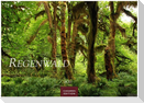 Regenwald Kalender 2027 - Wandkalender | Fotokalender Naturkalender 35x50cm | Wunderschöne Fotos tropischer Wälder und Landschaften