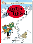 Tintin: Tintin Sa Tibéid (Irish)