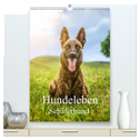 Hundeleben Schäferhund (hochwertiger Premium Wandkalender 2024 DIN A2 hoch), Kunstdruck in Hochglanz