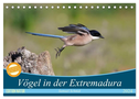 Vögel in der Extremadura (Tischkalender 2024 DIN A5 quer), CALVENDO Monatskalender