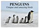 Penguins Unique and amazing birds (Wall Calendar 2024 DIN A4 landscape), CALVENDO 12 Month Wall Calendar