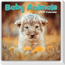 Baby Animals - Tierkinder 2027 - 16-Monatskalender