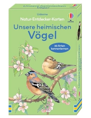 Natur-Entdecker-Karten: Unsere heimischen Vögel - Box mit 30 Karten, die heimische Vogelarten zeigen und vorstellen - für Kinder ab 6 Jahren. Usborne Verlag, 2025.