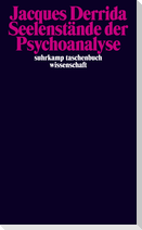 Seelenstände der Psychoanalyse